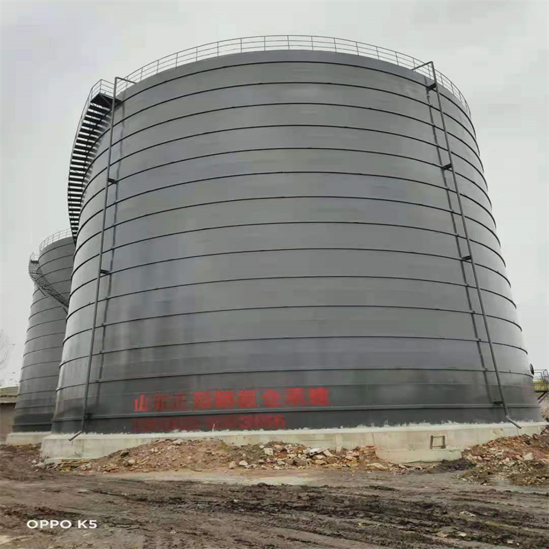 东洲3万吨大型钢板库