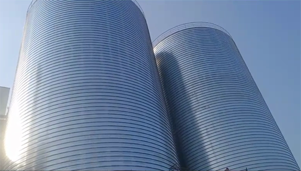 东洲2座混凝土高架卷板仓